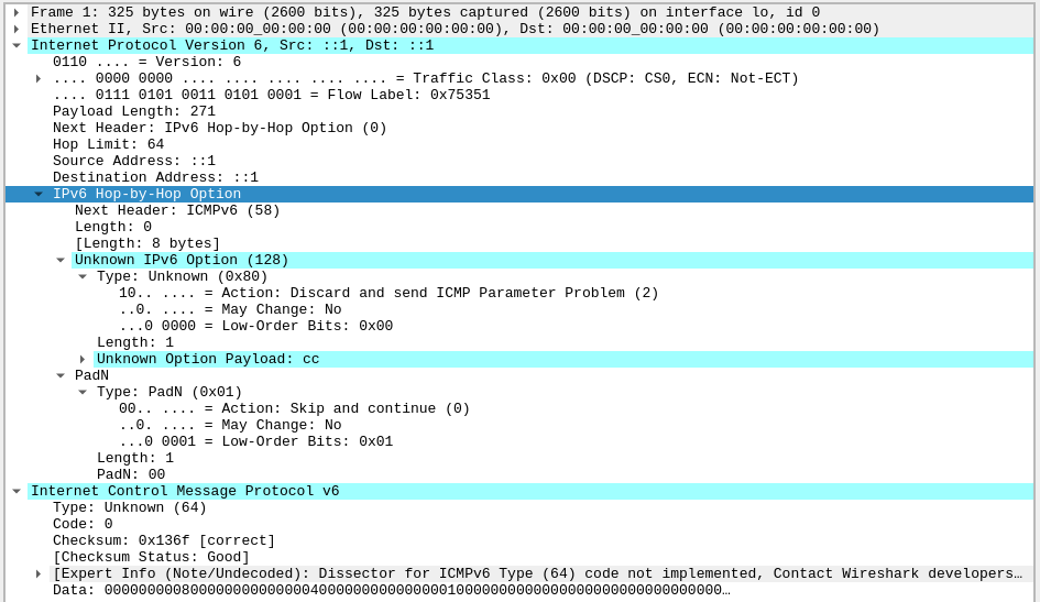 ICMPv6 message with Hop-by-Hop header